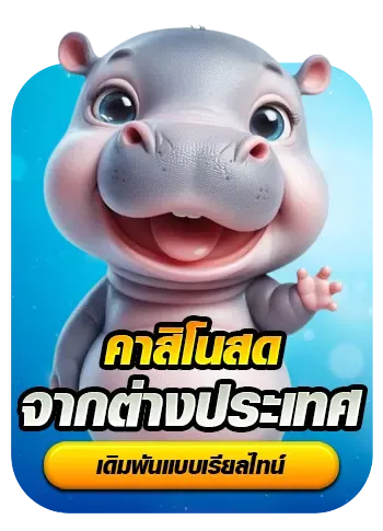 หมูเด้ง888 6